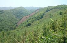 天门山