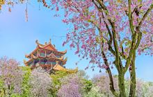 西禅寺