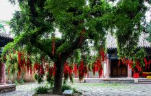 南郭寺