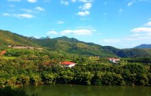 雁南飞茶田景区