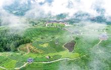 仙人山景区