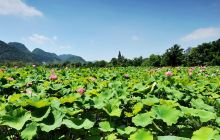 花溪国家城市湿地公园十里河滩景区