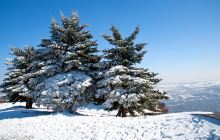 雪谷