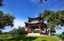 明月岛