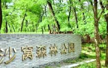 沙窝森林公园