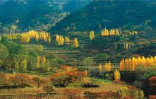 万仙山景区