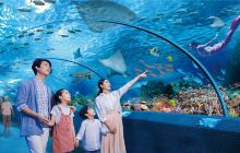 长沙海底世界