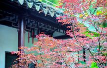 瞻园