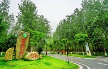 黄海森林公园