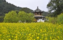 李坑景区