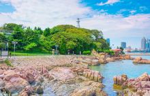 小青岛