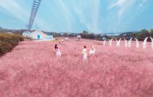 漫花庄园