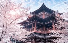 青龙寺