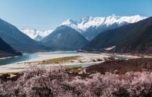 嘎拉桃花村