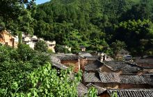 杨家堂村
