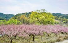 桃花岛风景区